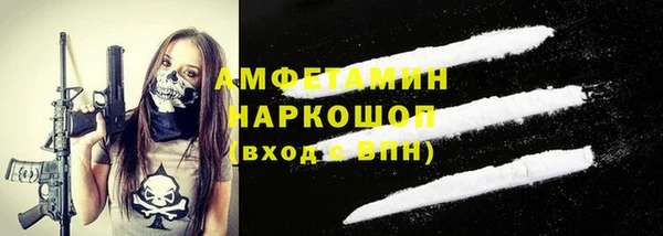 индика Беломорск