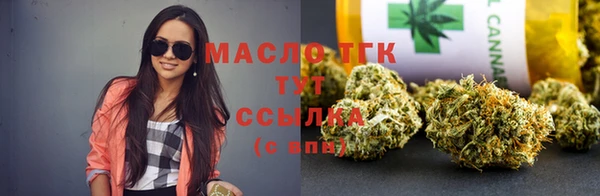 индика Беломорск
