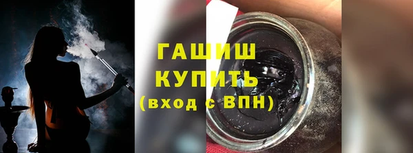 индика Беломорск