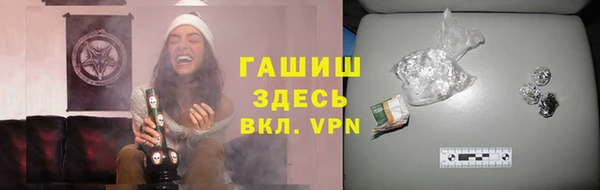 индика Беломорск