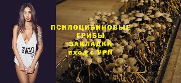 mdpv Белокуриха