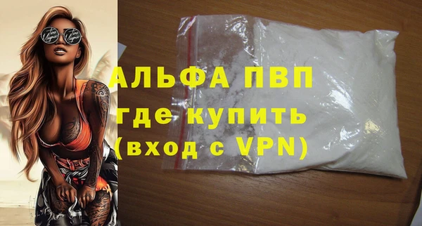 индика Беломорск