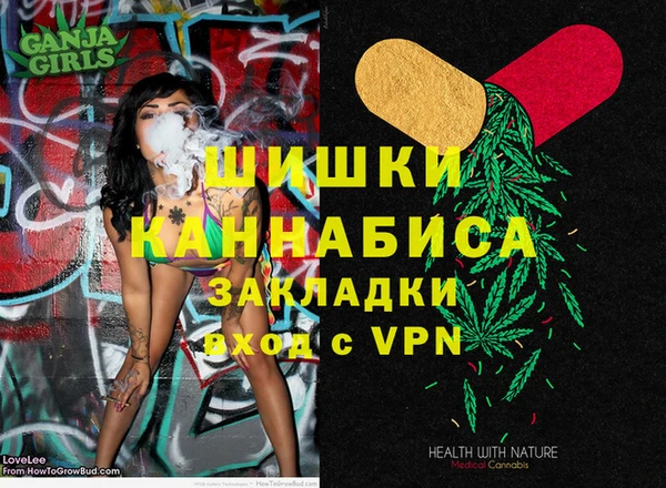 индика Беломорск