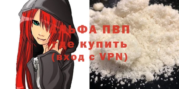 индика Беломорск