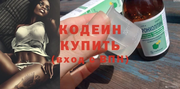 индика Беломорск