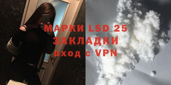 индика Беломорск