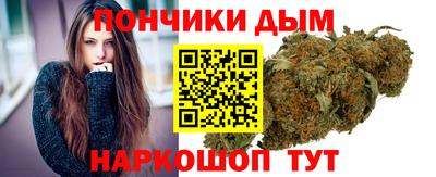 шишки Будённовск