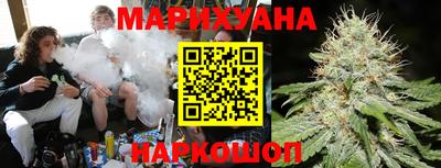 шишки Будённовск