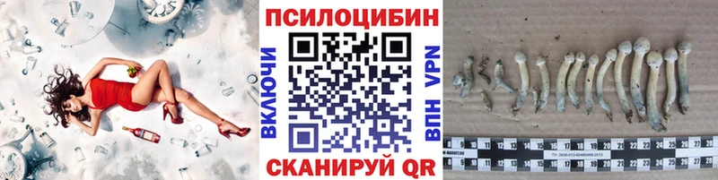сколько стоит Вязьма Псилоцибиновые грибы ЛСД
