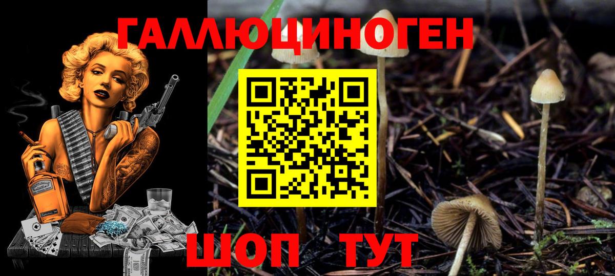 Галлюциногенные грибы мухоморы  Вход с VPN  Галлюциногенные грибы прущие грибы  Вязьма 