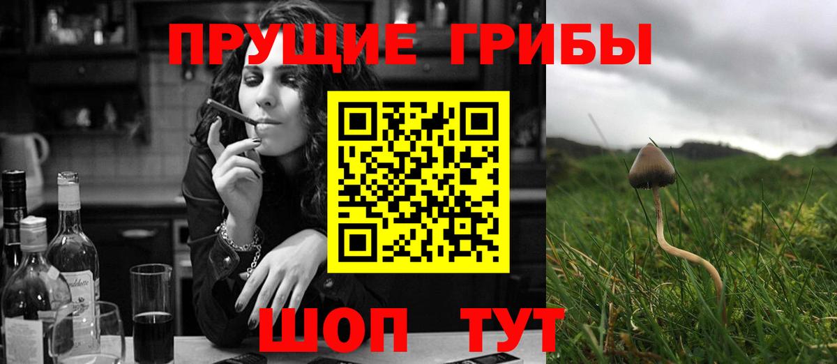 Псилоцибиновые грибы MAGIC MUSHROOMS Вязьма